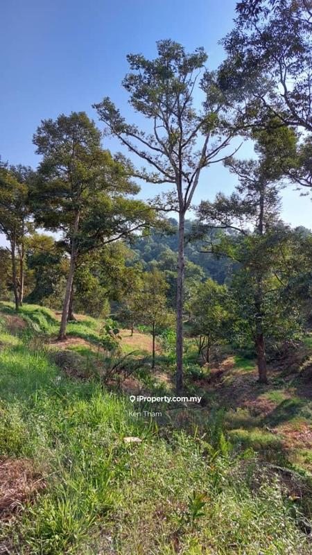 Agricultural Land for Sale in Taman Jelebu, Kuala Klawang by Ken Tham - iProperty.com.my