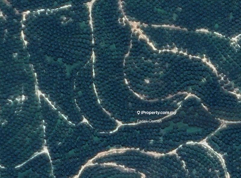 For Sale - Palm Oil Estate @ Juasseh For Sales, Attractive Price Good ROI