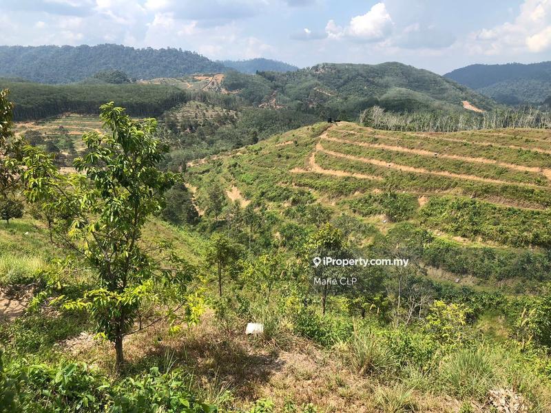 Tanah Pertanian untuk Dijual di Titi, Titi oleh Marie CLP - iProperty.com.my