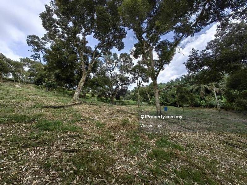 Tanah Pertanian untuk Dijual di Cheroh, Raub oleh Vincent Tee - iProperty.com.my