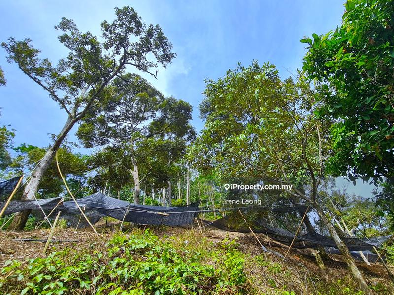 Agricultural Land for Sale in Bentong, Pahang by Irene Leong - iProperty.com.my