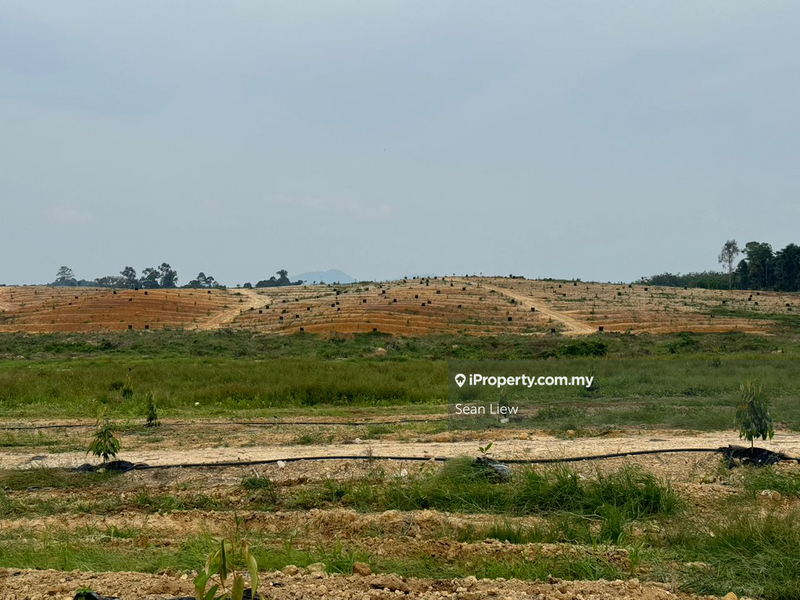 Agricultural Land for Rent in Jalan Paip , Meru , Klang , Selangor, Klang by Sean Liew - iProperty.com.my