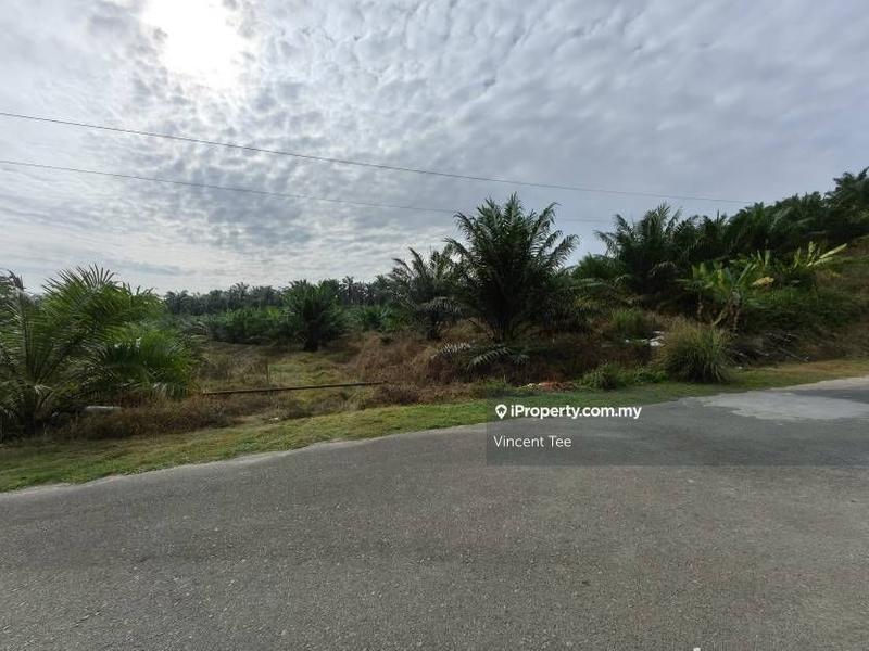 Agricultural Land for Sale in Bandar Mengkuang, Triang by Vincent Tee - iProperty.com.my