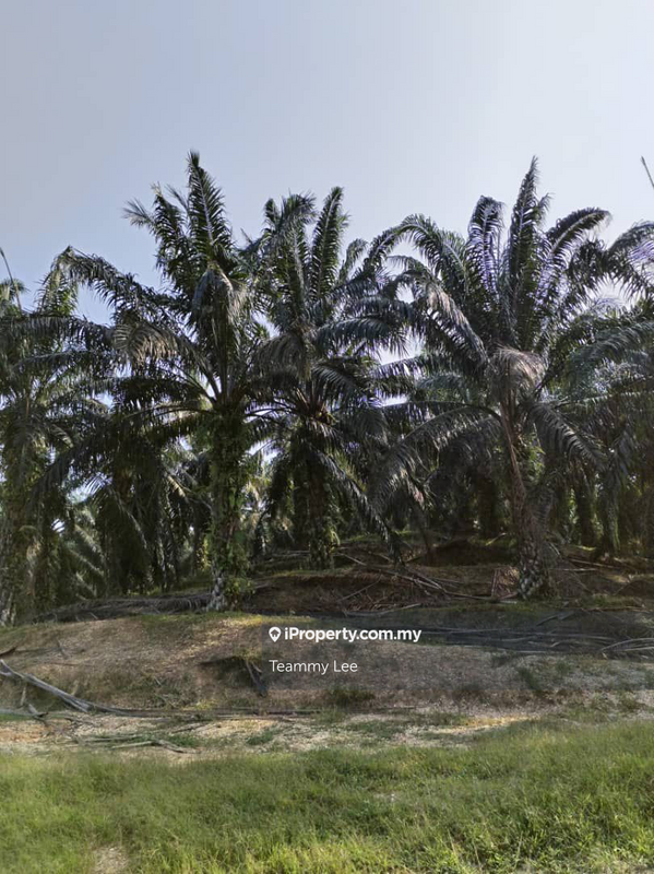 Tanah Pertanian untuk Dijual di Bandar Sungai Siput, Sungai Siput oleh Teammy Lee - iProperty.com.my