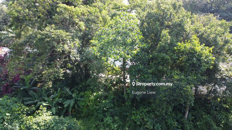 Bungalow Land for Sale in Bukit Damansara, Damansara Heights by Eugene Liew - iProperty.com.my