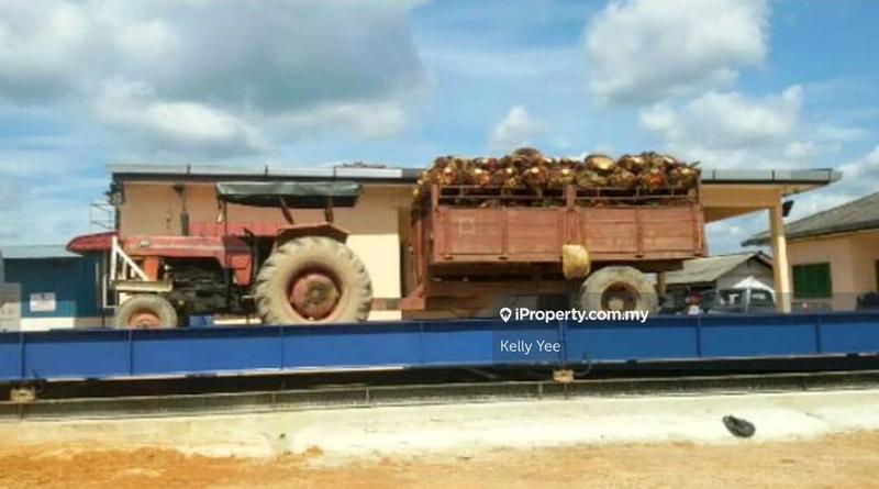 Tanah Pertanian untuk Dijual di Palm Oil Plantation @ Teluk Intan for Sale, Teluk Intan oleh Kelly Yee - iProperty.com.my