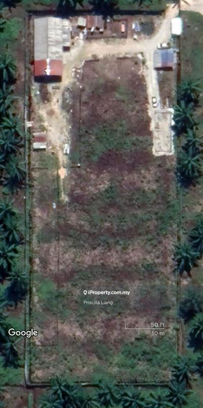 Tanah Pertanian untuk Dijual di Tanjung Dua Belas, Banting oleh Priscilla Liang - iProperty.com.my