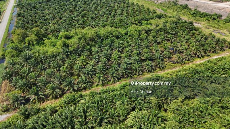 Agricultural Land for Sale in Kampung Jenjarom, Jenjarom by Aziz Ahmad - iProperty.com.my