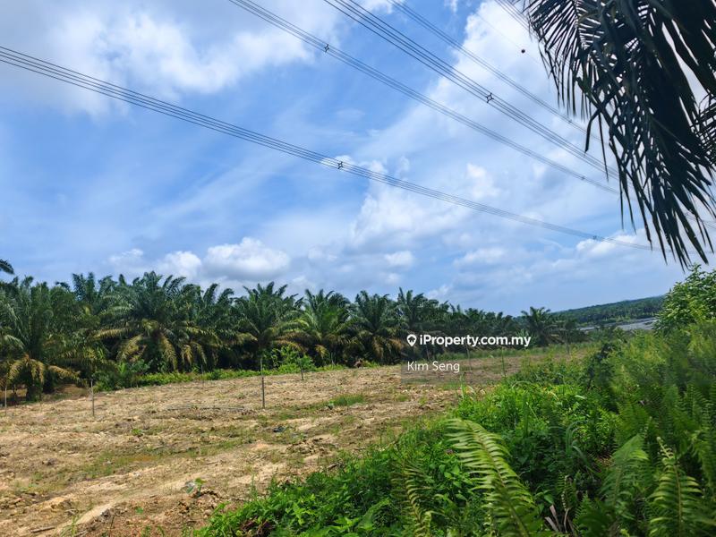 Agricultural Land for Sale in Sri Lalang, Kluang by Kim Seng - iProperty.com.my