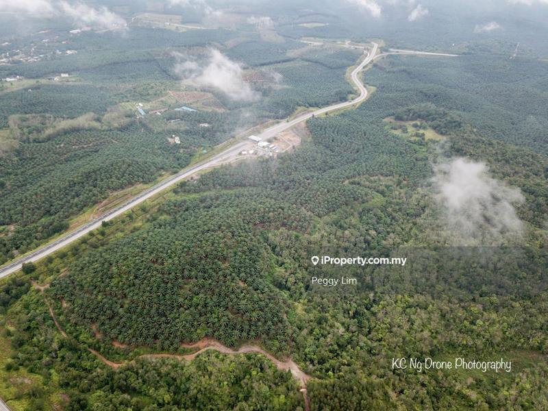 Agricultural Land for Sale in Sri Jaya, Maran by Peggy Lim - iProperty.com.my