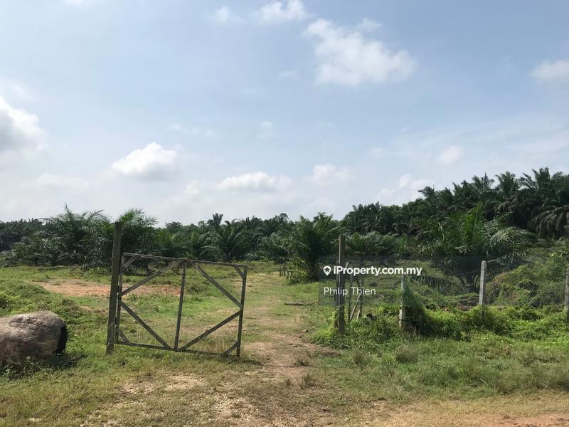 Agricultural Land for Sale in Kuala Selangor, Selangor by Philip Thien - iProperty.com.my