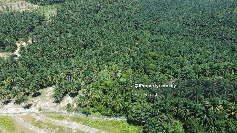 Agricultural Land for Sale in Rembau, Rembau by Aziz Ahmad - iProperty.com.my