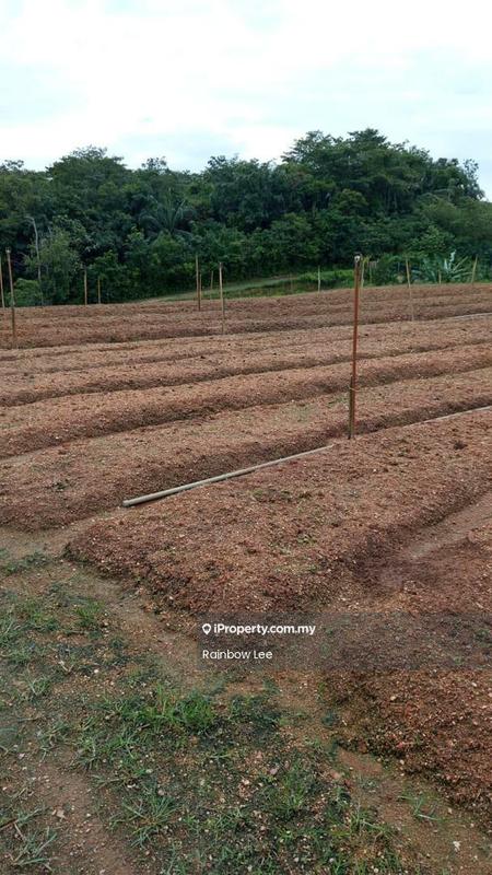 Agricultural Land for Sale in Seremban, Seremban by Rainbow Lee - iProperty.com.my