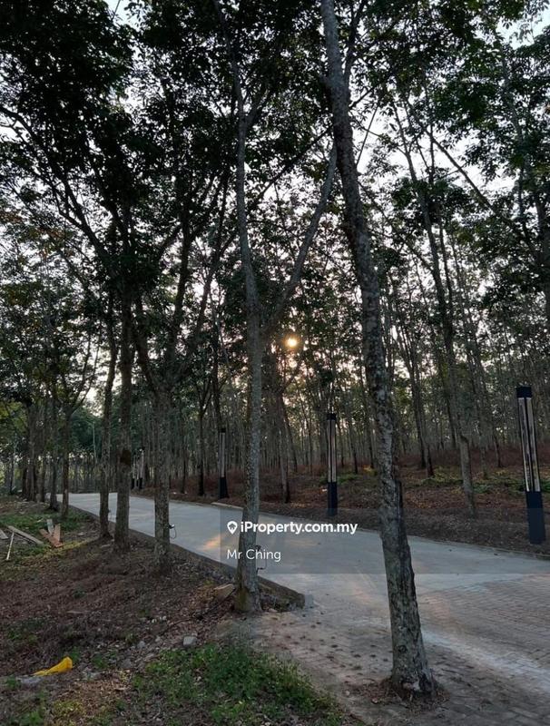 Tanah Pertanian untuk Dijual di Taman Lendu Bakti, Lendu oleh Mr Ching - iProperty.com.my