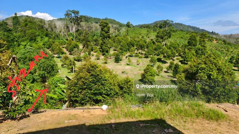 For Sale - Ayer Kala Lenggong Perak