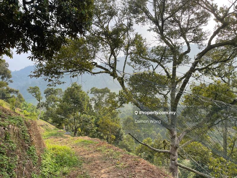 Tanah Pertanian untuk Dijual di Sungai Chetang, Raub oleh Damon Wong - iProperty.com.my
