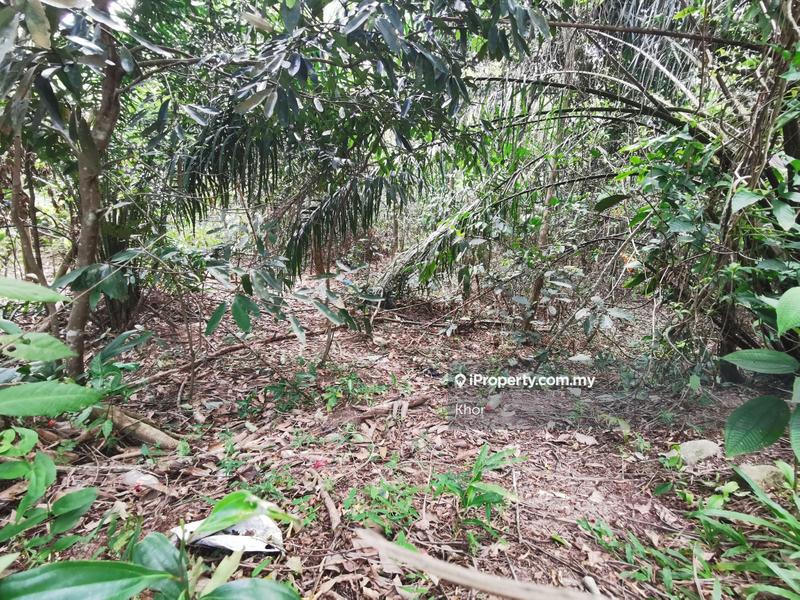 Tanah Pertanian untuk Dijual di Taman Serdang, Serdang oleh Khor - iProperty.com.my