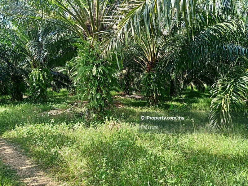 Residential Land for Sale in Padang Meha, Padang Serai by Prassana - iProperty.com.my