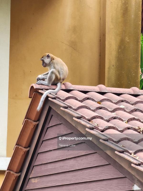 Bungalow House for Sale in Bukit Gita Bayu, Seri Kembangan by Teresa Law - iProperty.com.my