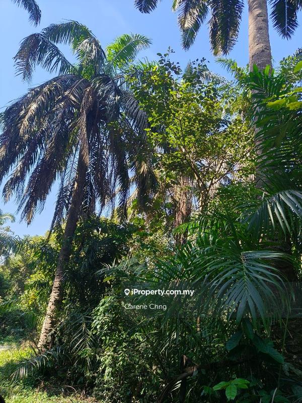 Tanah Pertanian untuk Dijual di Hulu Semenyih, Semenyih oleh Carene Chng - iProperty.com.my