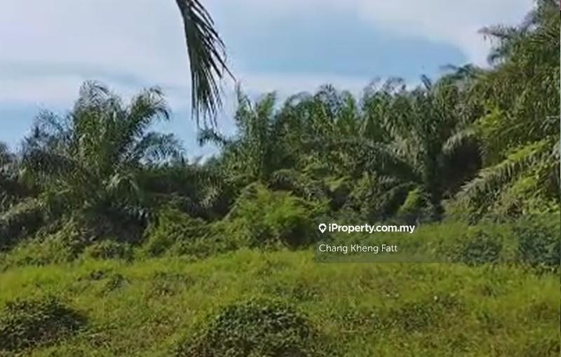 Tanah Pertanian untuk Dijual di Batu 15, Jalan Kapar, Jeram oleh Chang Kheng Fatt - iProperty.com.my