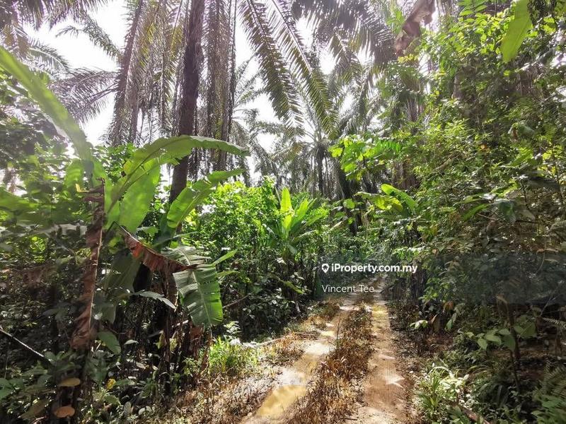 Tanah Kediaman untuk Dijual di Bidor, Perak oleh Vincent Tee - iProperty.com.my
