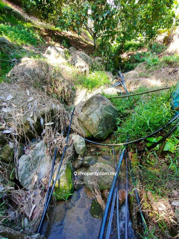 Agricultural Land for Sale in Gertak Sanggul, Bayan Lepas by Zusain Tan - iProperty.com.my