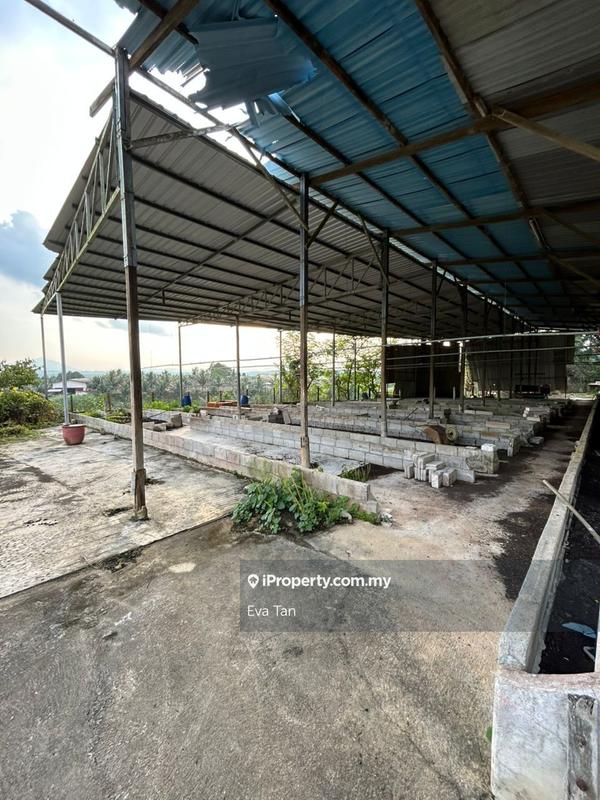 Agricultural Land for Sale in Kuala Sedili, Mawai, Kota Tinggi by Eva Tan - iProperty.com.my