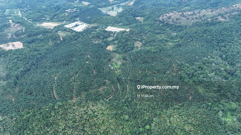 Agricultural Land for Sale in Kuala Kubu Baru, Selangor by Iz Hakim - iProperty.com.my