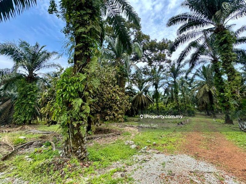 Tanah Perindustrian untuk Dijual di Jeram Batu, Pekan Nanas oleh Allen Tan - iProperty.com.my