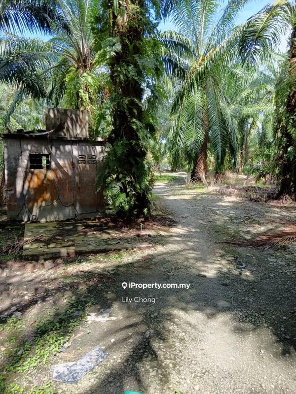Tanah Pertanian untuk Dijual di Seri Manjung, Perak oleh Lily Chong - iProperty.com.my