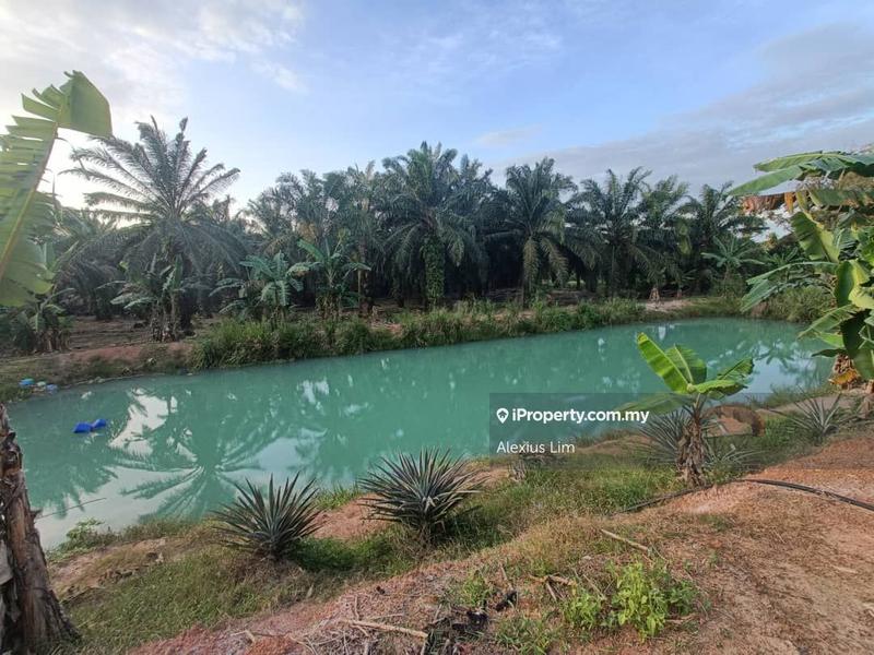 For Sale - 10.45 Acre Agriculture Land with 600+ Durian Tree@ Segamat