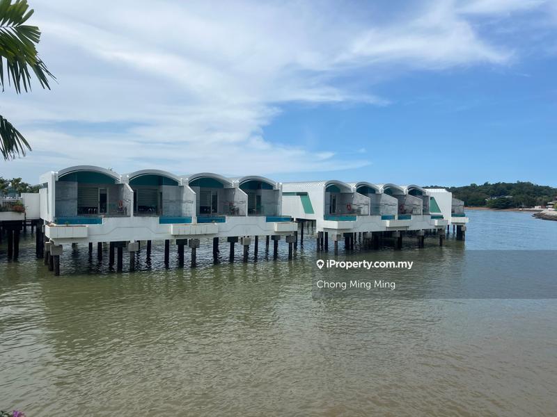 For Sale - Lexis Hibiscus