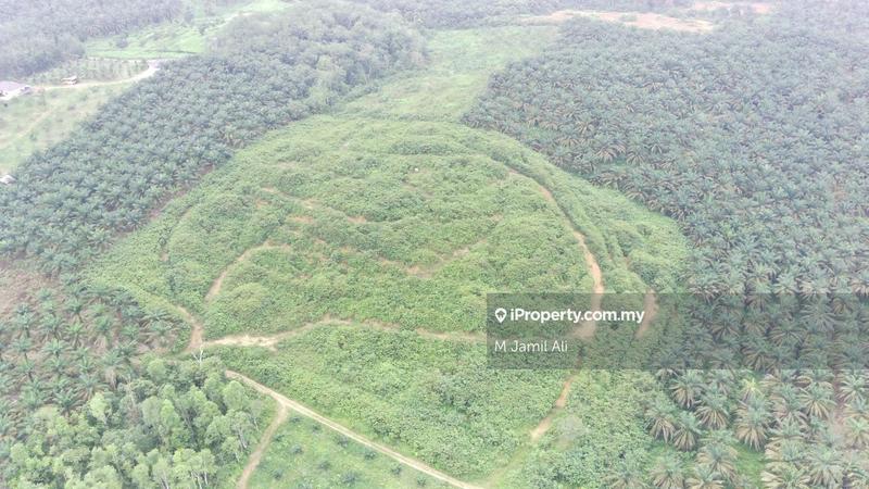 For Sale - Kampung Rahmat