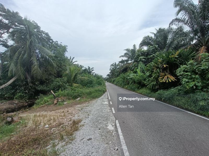 Agricultural Land for Sale in Kampung Sungai Bunyi, Tenggayun, Pontian by Allen Tan - iProperty.com.my