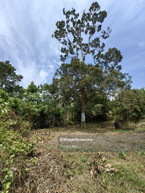 Agricultural Land for Sale in Bandar Lipis, Kuala Lipis by Vincent Tee - iProperty.com.my