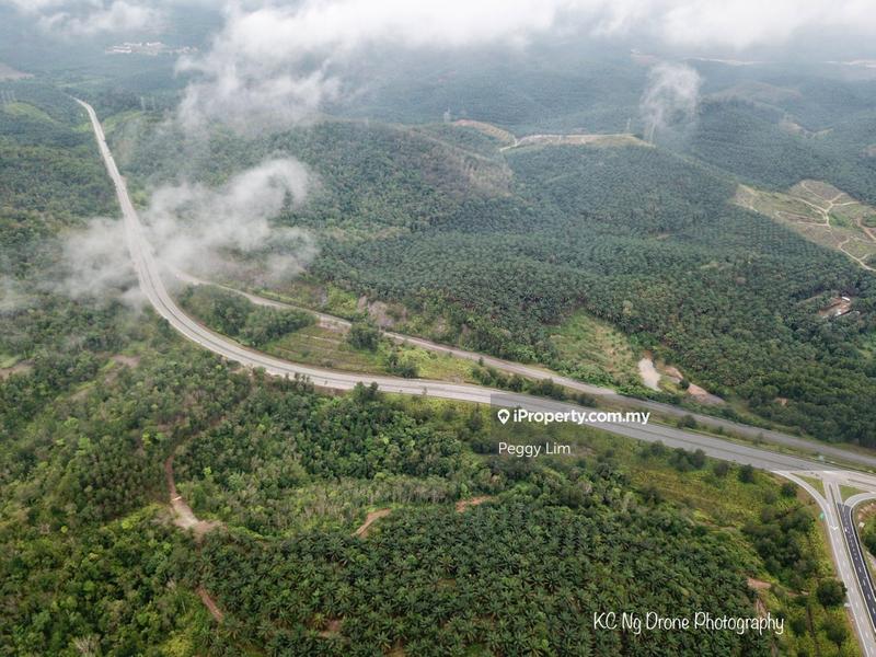 Agricultural Land for Sale in Sri Jaya, Maran by Peggy Lim - iProperty.com.my