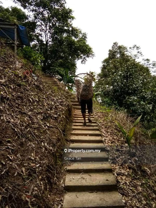 Tanah Pertanian untuk Dijual di Bentong Sang Lee ,Raub, Raub oleh Grace Tan - iProperty.com.my
