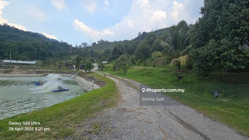 Tanah Pertanian untuk Dijual di Kampung Sungai Tekali, Hulu Langat oleh Jimmy Goh - iProperty.com.my