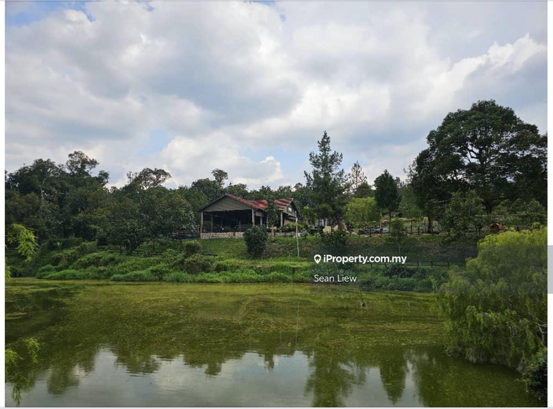 Agricultural Land for Sale in Hulu Langat, Selangor by Sean Liew - iProperty.com.my