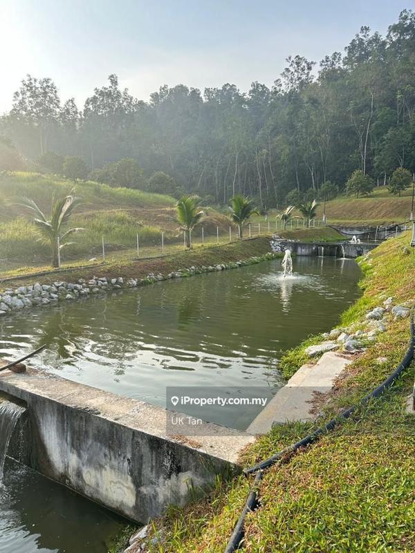 For Rent - Agriculture Land 6 Acres @ Serendah Rawang