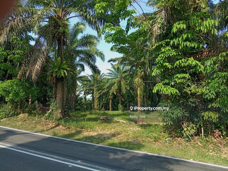 For Sale - Agriculture Land in Machang Bubok for Sale