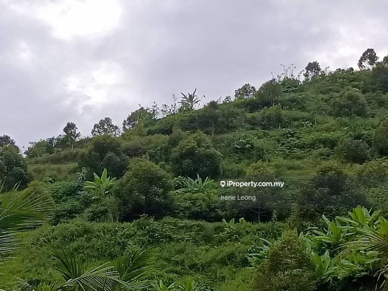 Agricultural Land for Sale in Raub, Pahang by Irene Leong - iProperty.com.my