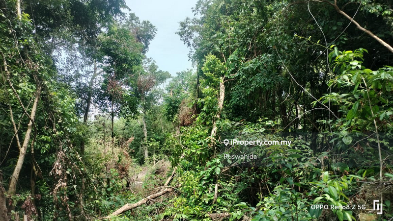 Agricultural Land for Sale in Tanjong Jaga, Yan by Ruswahida - iProperty.com.my