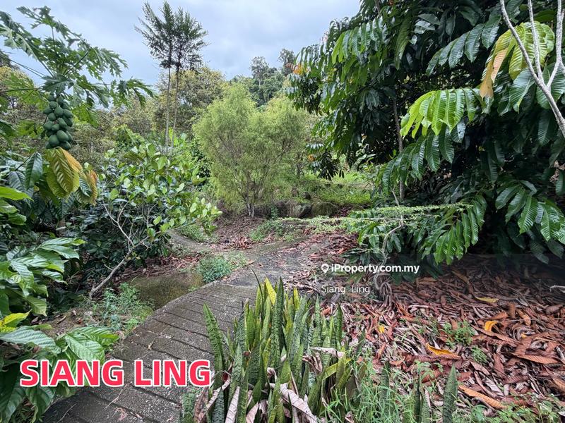 Tanah Pertanian untuk Dijual di Teluk Kumbar, Penang oleh Siang  Ling - iProperty.com.my