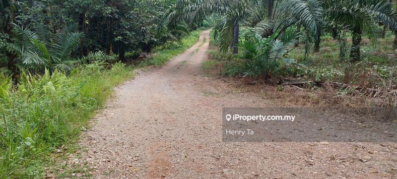 Tanah Pertanian untuk Dijual di Taman Dengkil, Dengkil oleh Henry Ta - iProperty.com.my