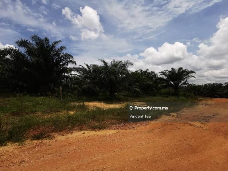 For Sale - 393 Acre Palm Oil Estate Zoned Industry Bukit Kuin Kuantan