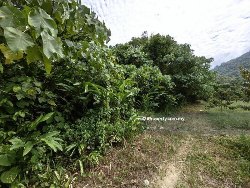 Tanah Pertanian untuk Dijual di Kampung Sungai Lalang, Semenyih oleh Vincent Tee - iProperty.com.my
