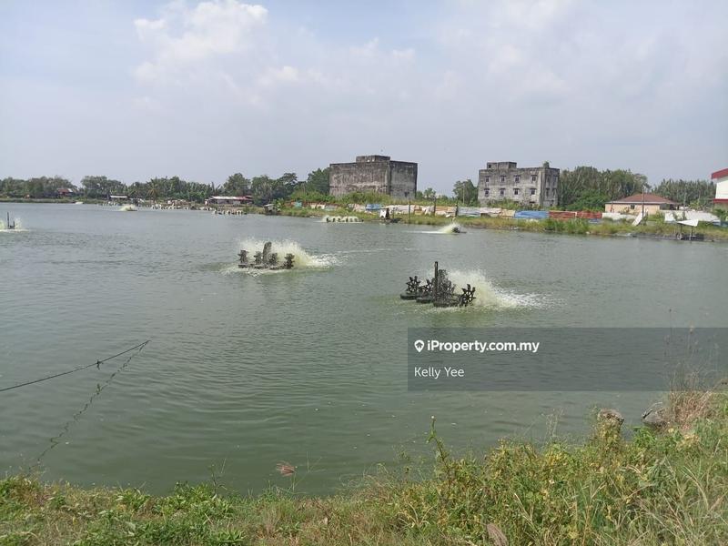 For Sale - Agriculture Land with Ready Made Fish Pond @ Sungai Udang for Sale