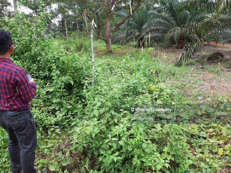 Tanah Banglo untuk Dijual di Simpang Rengam, Johor oleh Santo Wang - iProperty.com.my